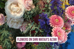 Sahaja-Yoga-Balmoral-Ashram-Sydney-flowers-41