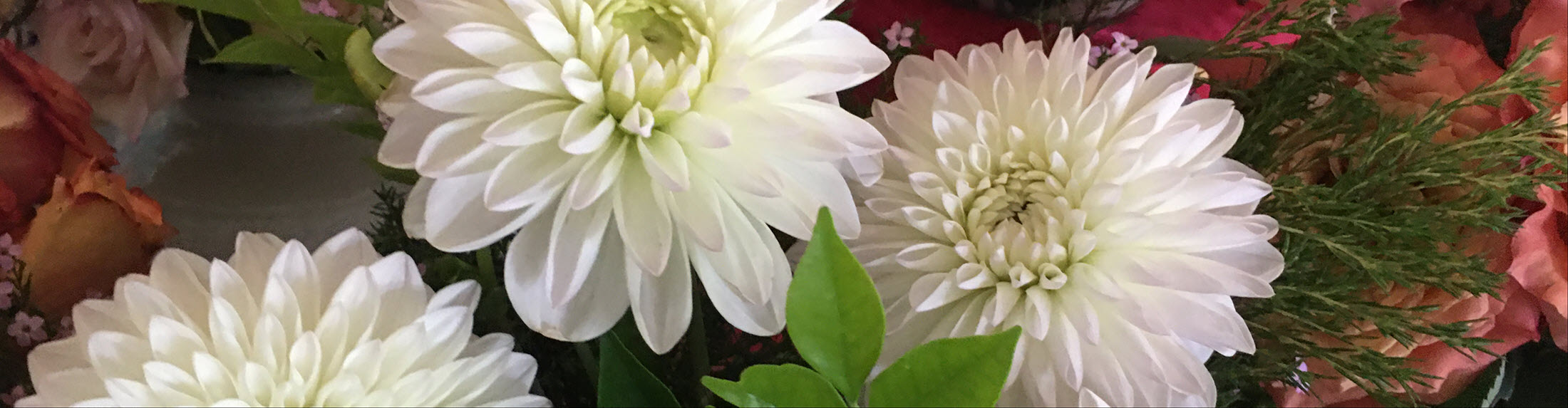 Easter Seminar, Puja & Marriages 2026