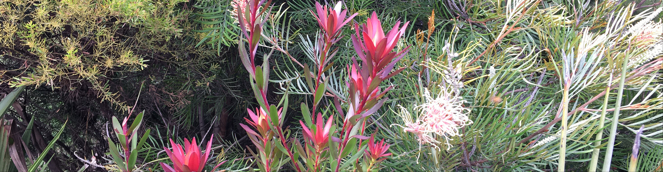 Easter Seminar, Puja & Marriages 2026