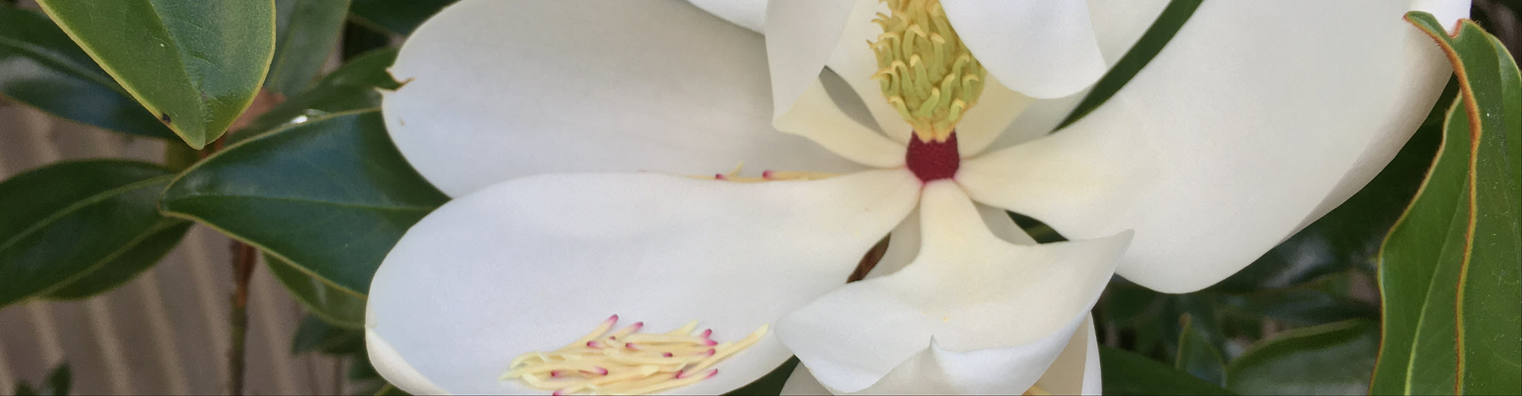 Easter Seminar, Puja & Marriages 2026