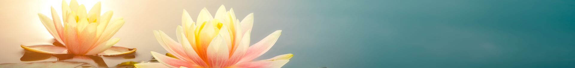 Australian Guru Puja 2026
